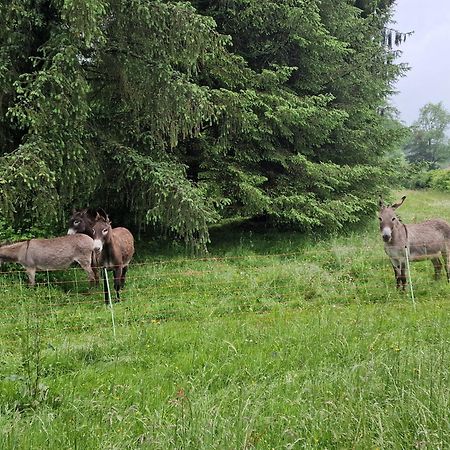 Maison Du Bonheur Gan الغرفة الصورة