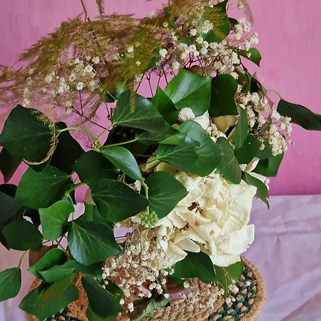 Maison Du Bonheur Gan المظهر الخارجي الصورة